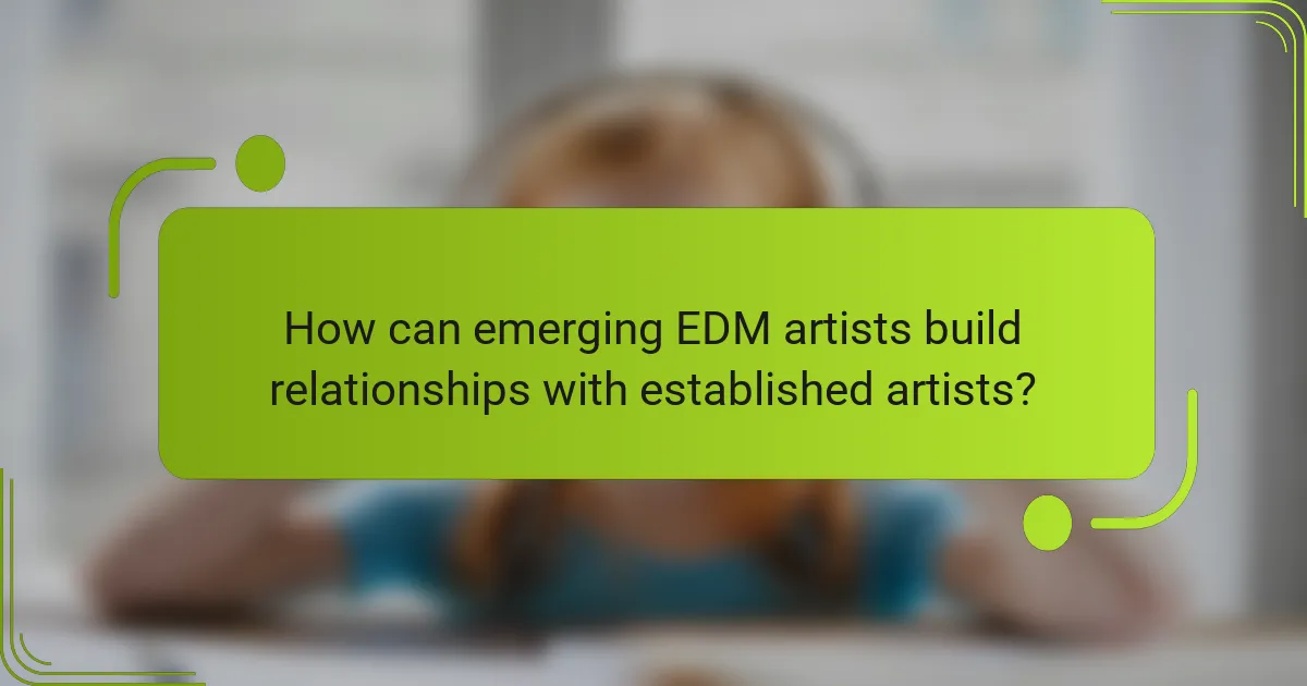 How can emerging EDM artists build relationships with established artists?
