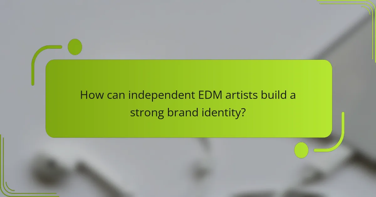How can independent EDM artists build a strong brand identity?