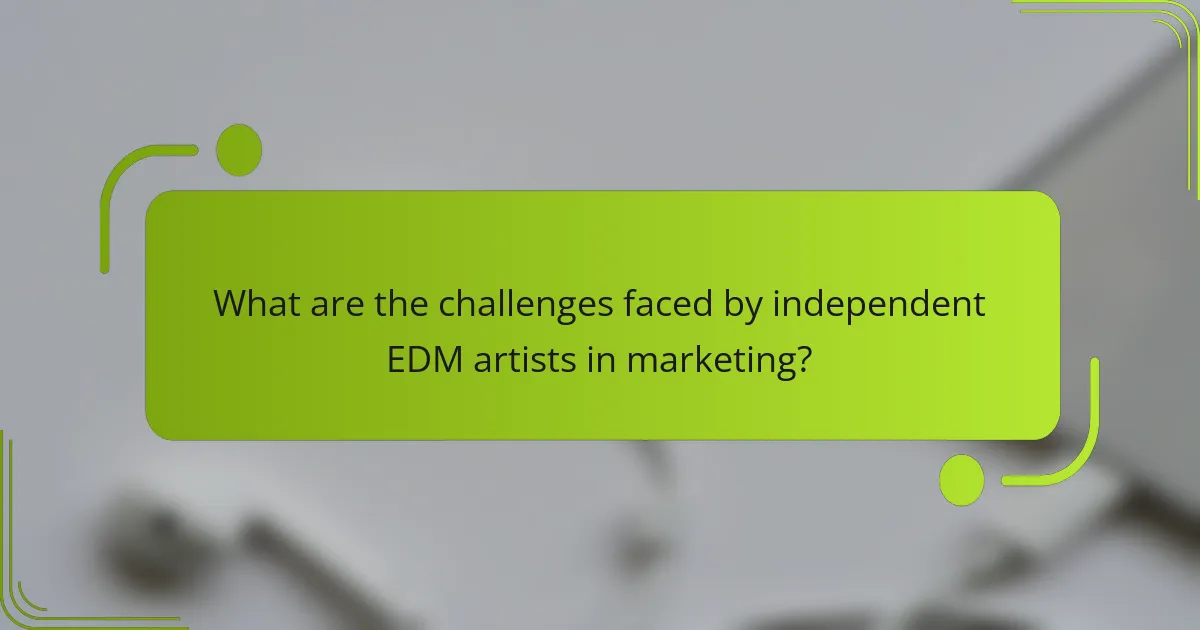 What are the challenges faced by independent EDM artists in marketing?